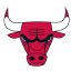 Icone Bulls